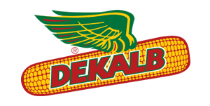 Dekalb